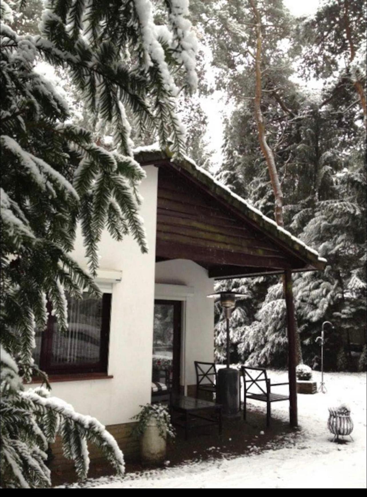 Magical Cottage In The Woods Баарн Екстериор снимка